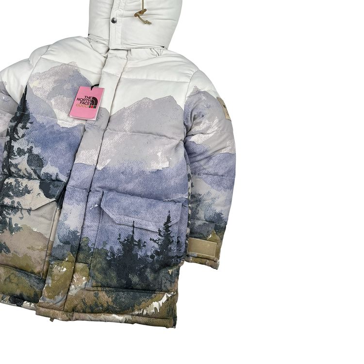 North Face X Gucci Mountain Print Down Filled Down Hooded Puffer Jacket - Small image 5