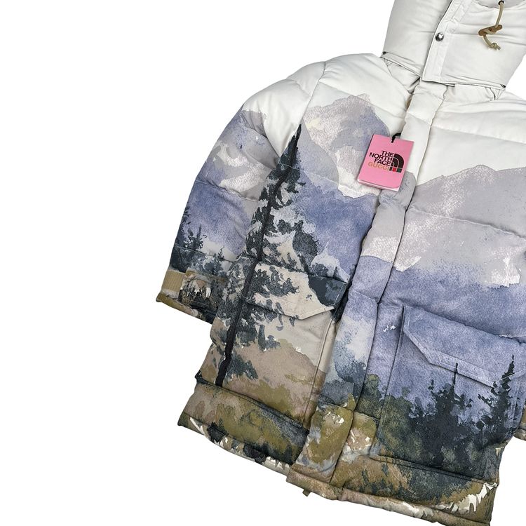 North Face X Gucci Mountain Print Down Filled Down Hooded Puffer Jacket - Small image 9