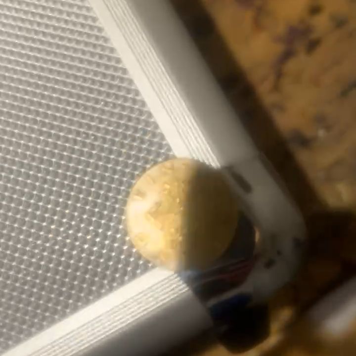 Unknown Pill - Other product image