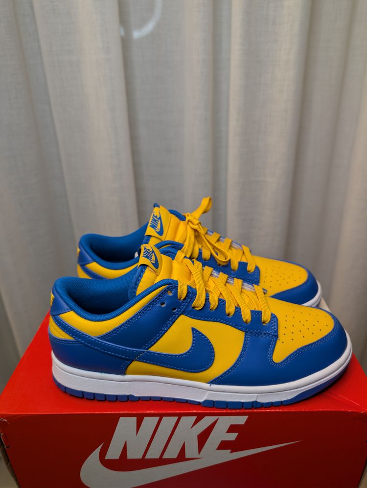 Nike Dunk low retro Sneakers size 41