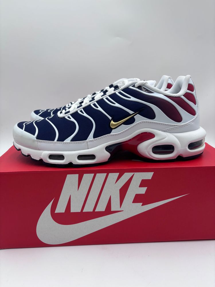 Nike Air Max Plus PSG