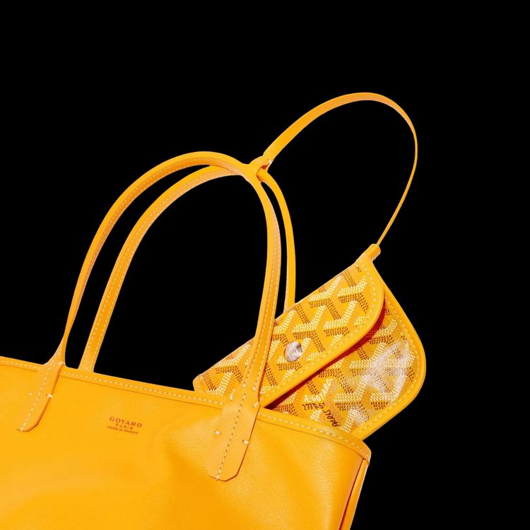Goyard Anjou Mini Bag Yellow 7