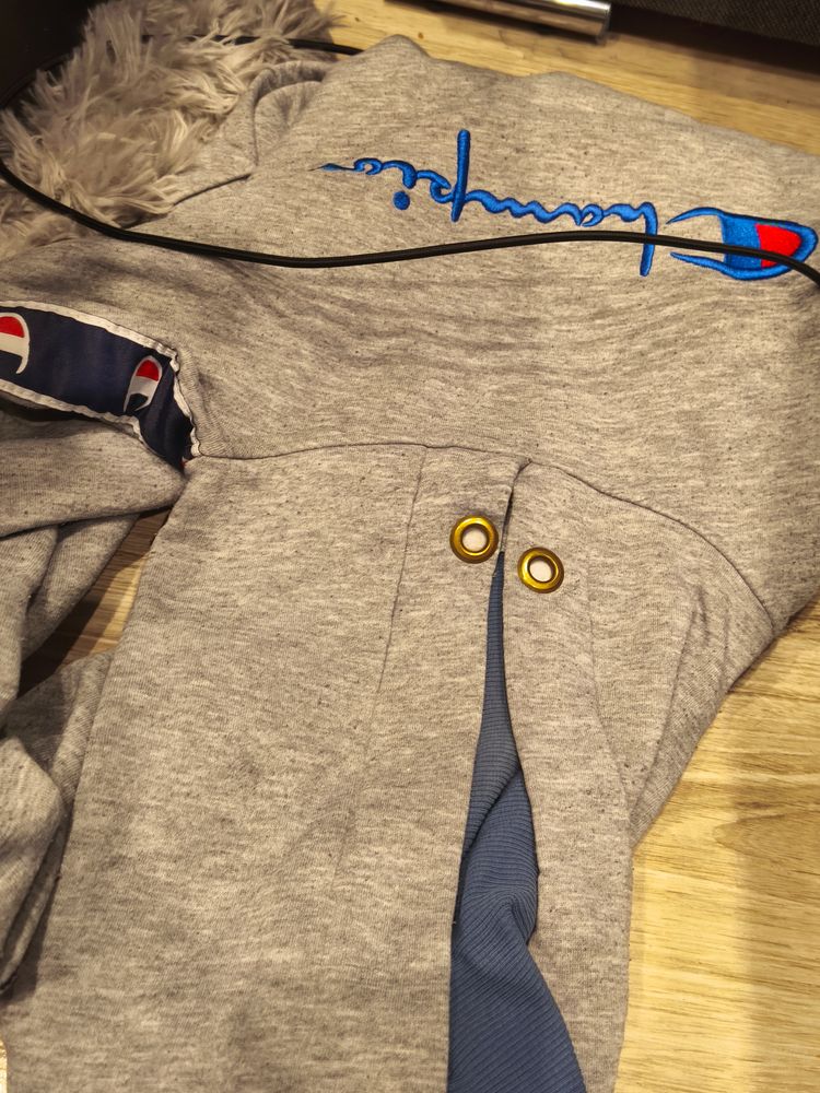 Champion Champion Grey Hoodie product image