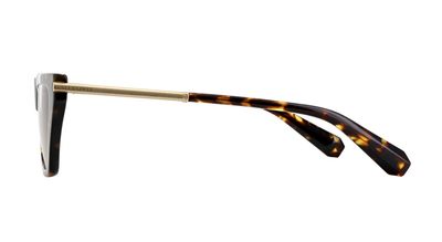 All Saints Minka Sunglasses | Dark Classic Tortoiseshell 2