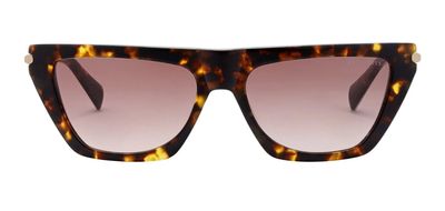 All Saints Minka Sunglasses | Dark Classic Tortoiseshell 3