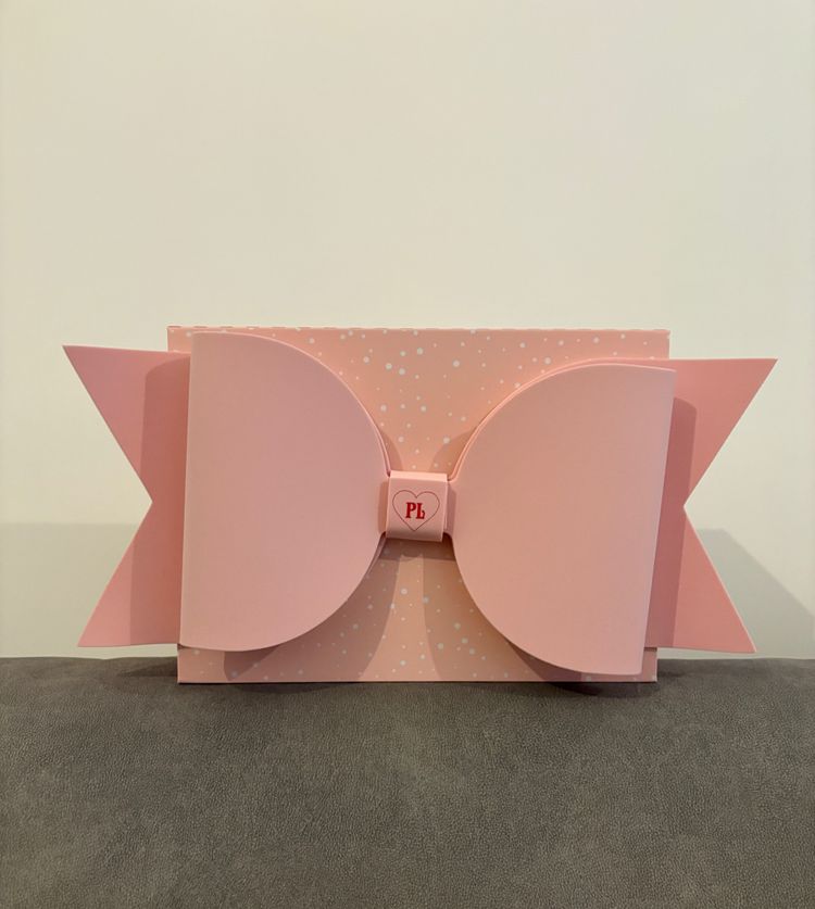 Plouise large bow box  2