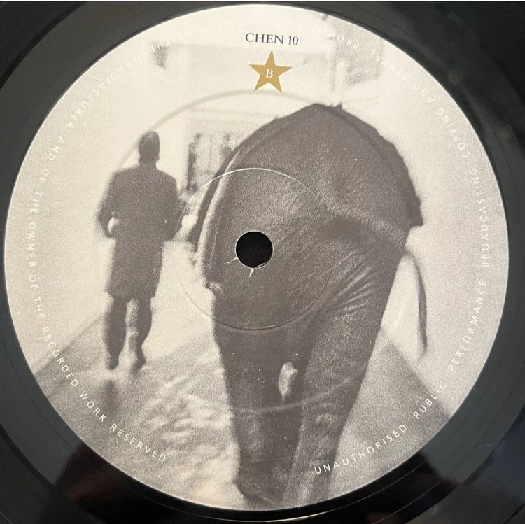 World Party Goodbye Jumbo Vinyl Record 9