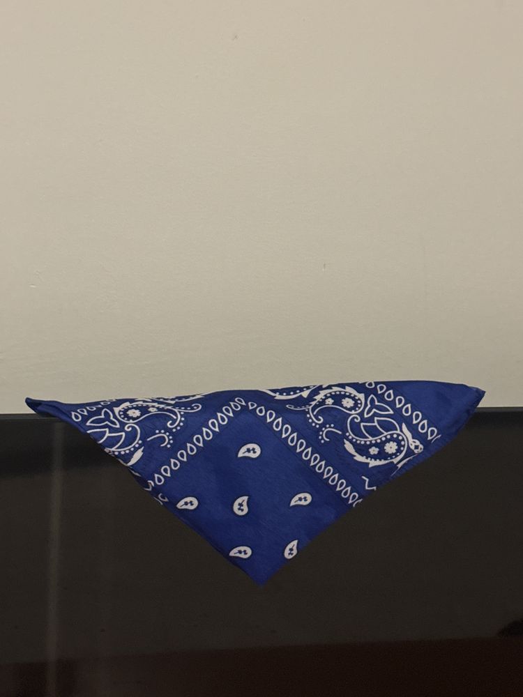 Blue Bandana