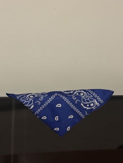 Blue Bandana