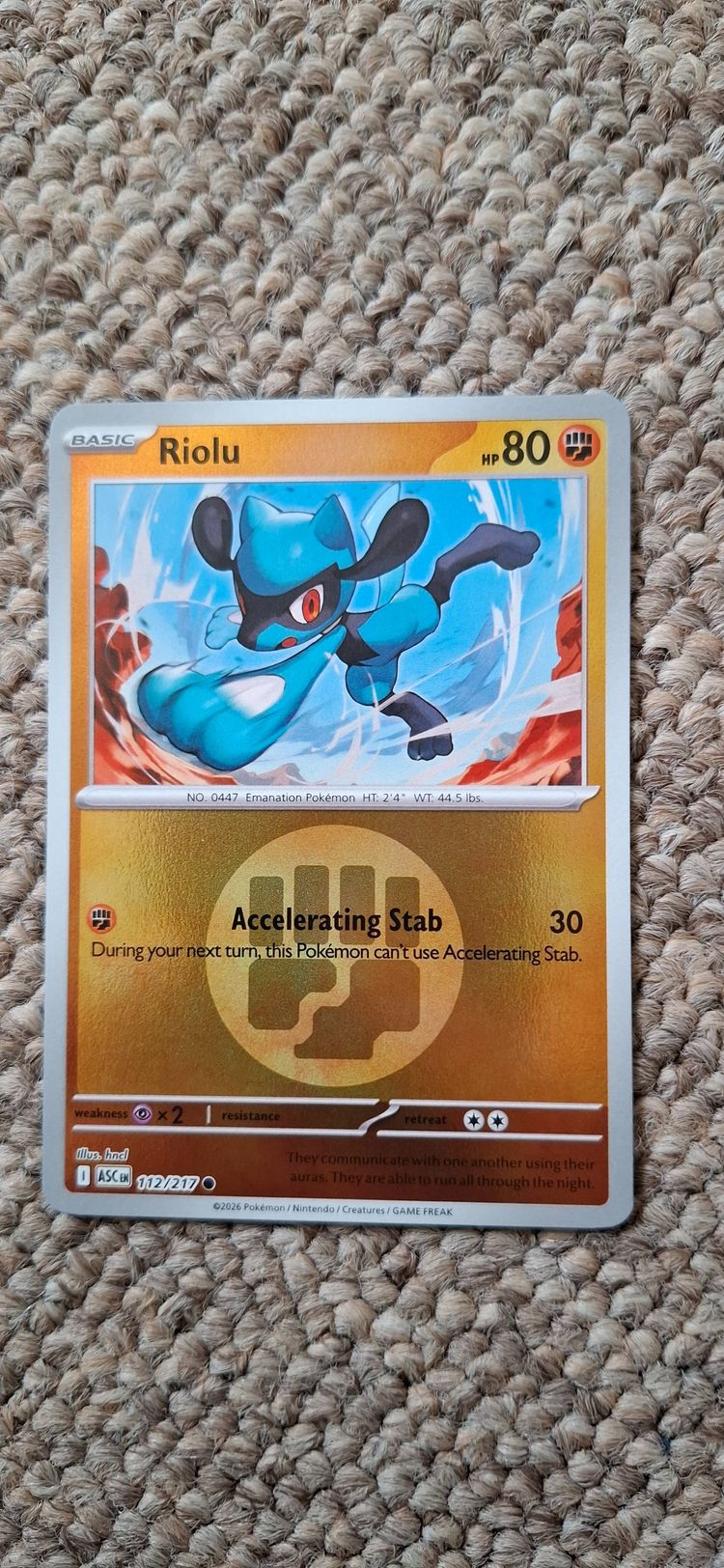 Riolu Pokémon Card