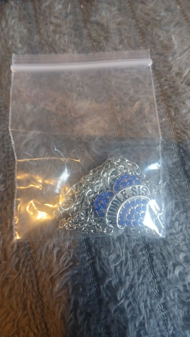 Other Silver Chain Necklace With Blue And White Pendant product image