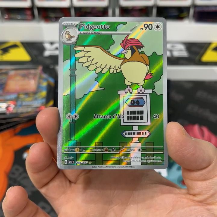 Other pidgeotto product image
