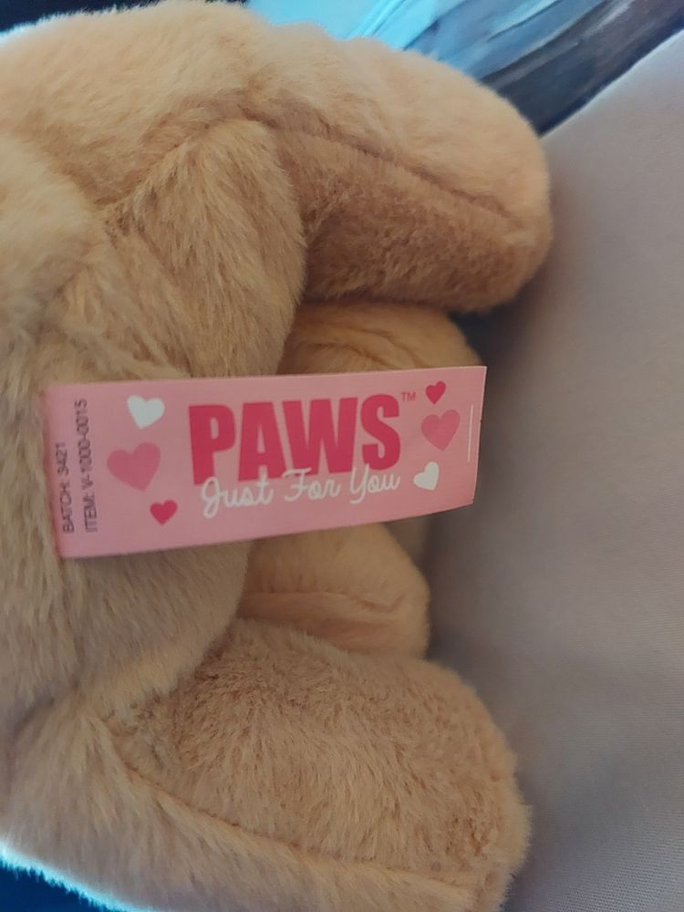 BJ Toys Paws Pug Puppy I LOVE YOU Soft Plush Toy Cuddly Dog RRP £10 BNWTPaws Plush Dog Toy imagen 4