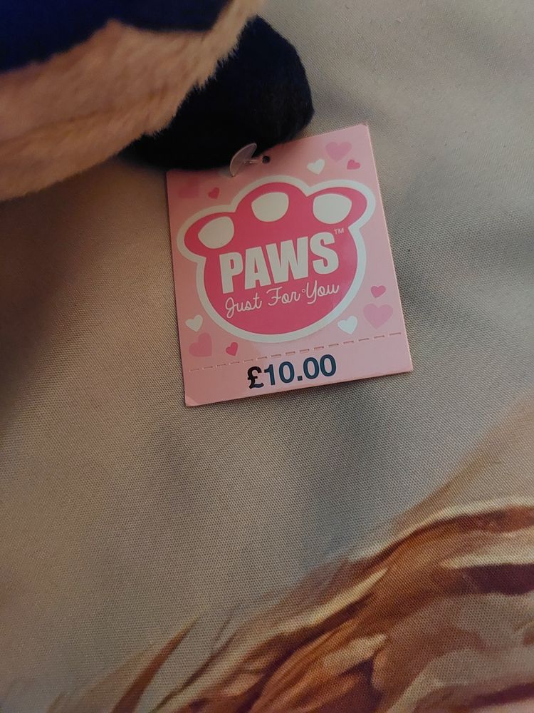BJ Toys Paws Pug Puppy I LOVE YOU Soft Plush Toy Cuddly Dog RRP £10 BNWTPaws Plush Dog Toy imagen 5