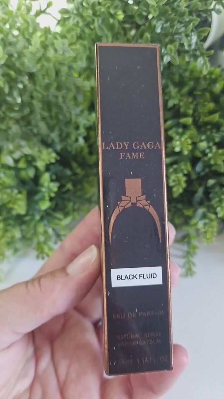 Lady Gaga Fame