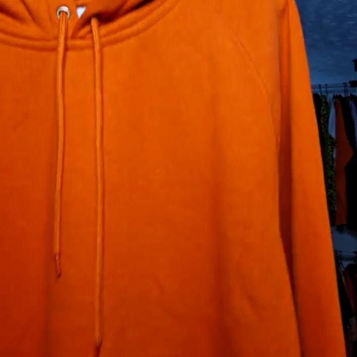 Carhartt carhartt hoodie product image