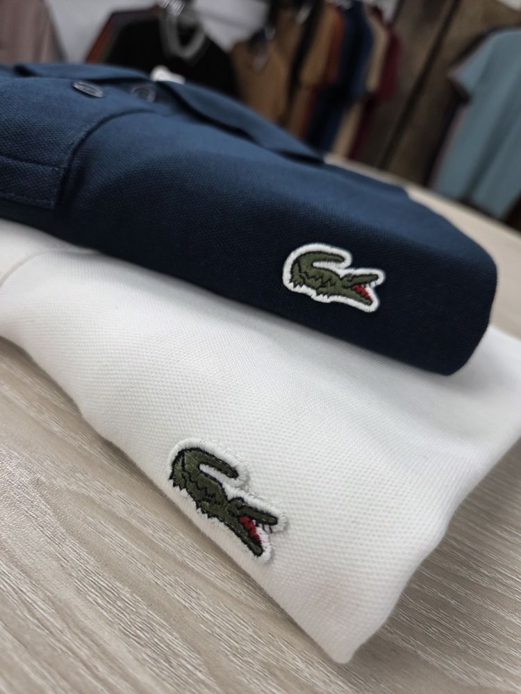 Lacoste Polo Shirts various sizes