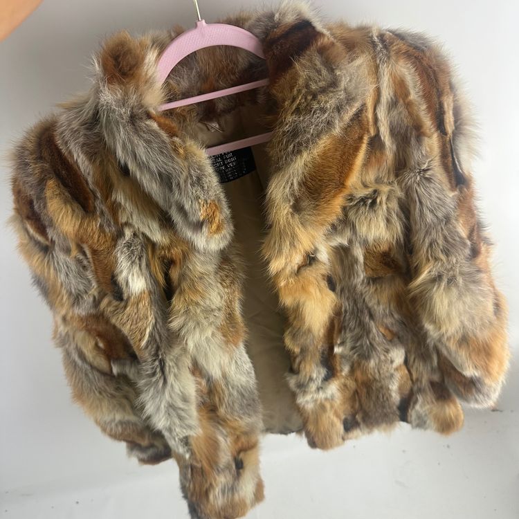 Immagine di Brown Fur Coat 2