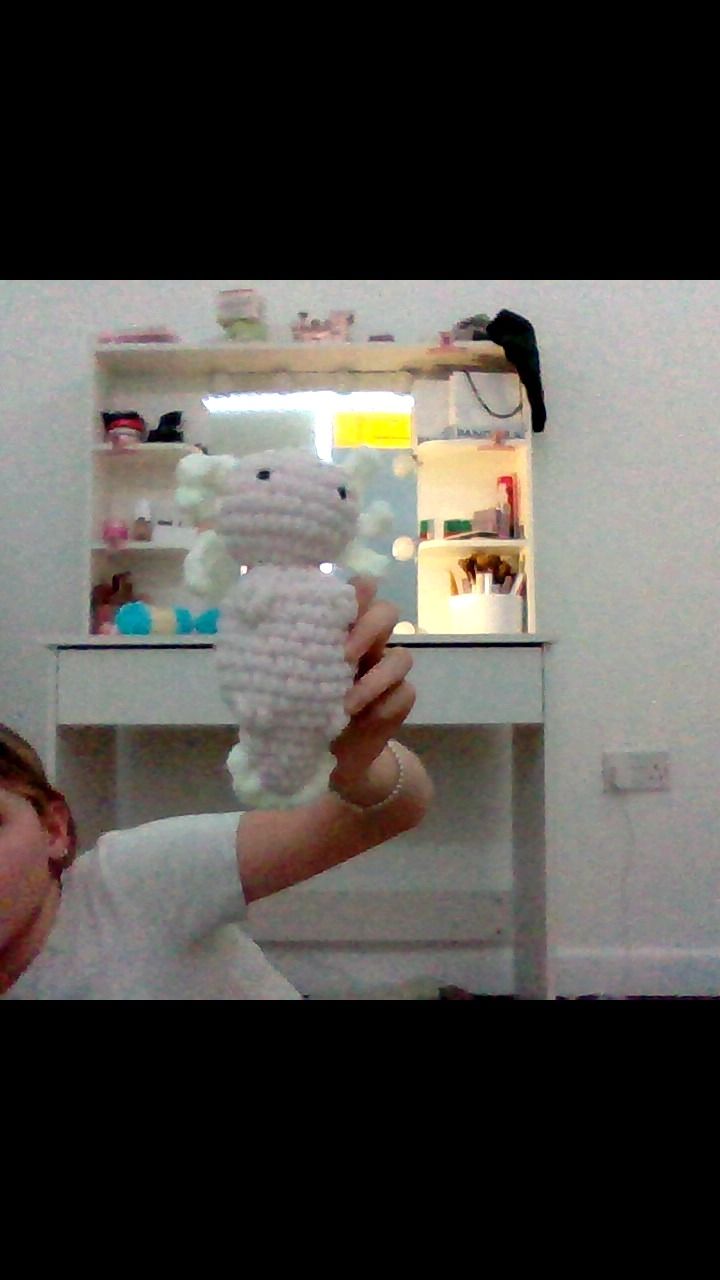 Other axolotol crochet product image