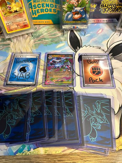 CHASE THE ZARD 🐉