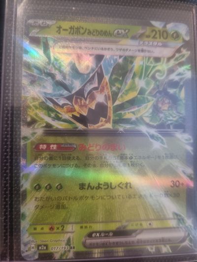 Pokémon Trading Card