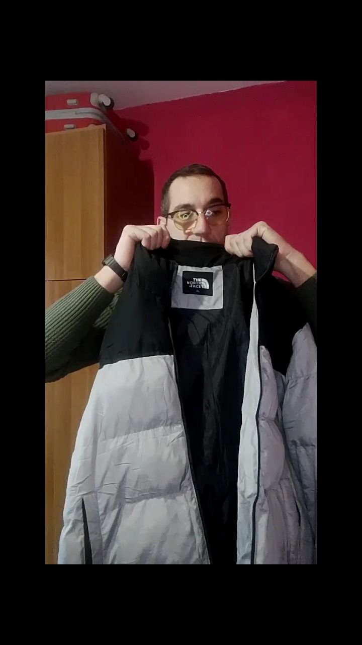 The North Face the north face product image