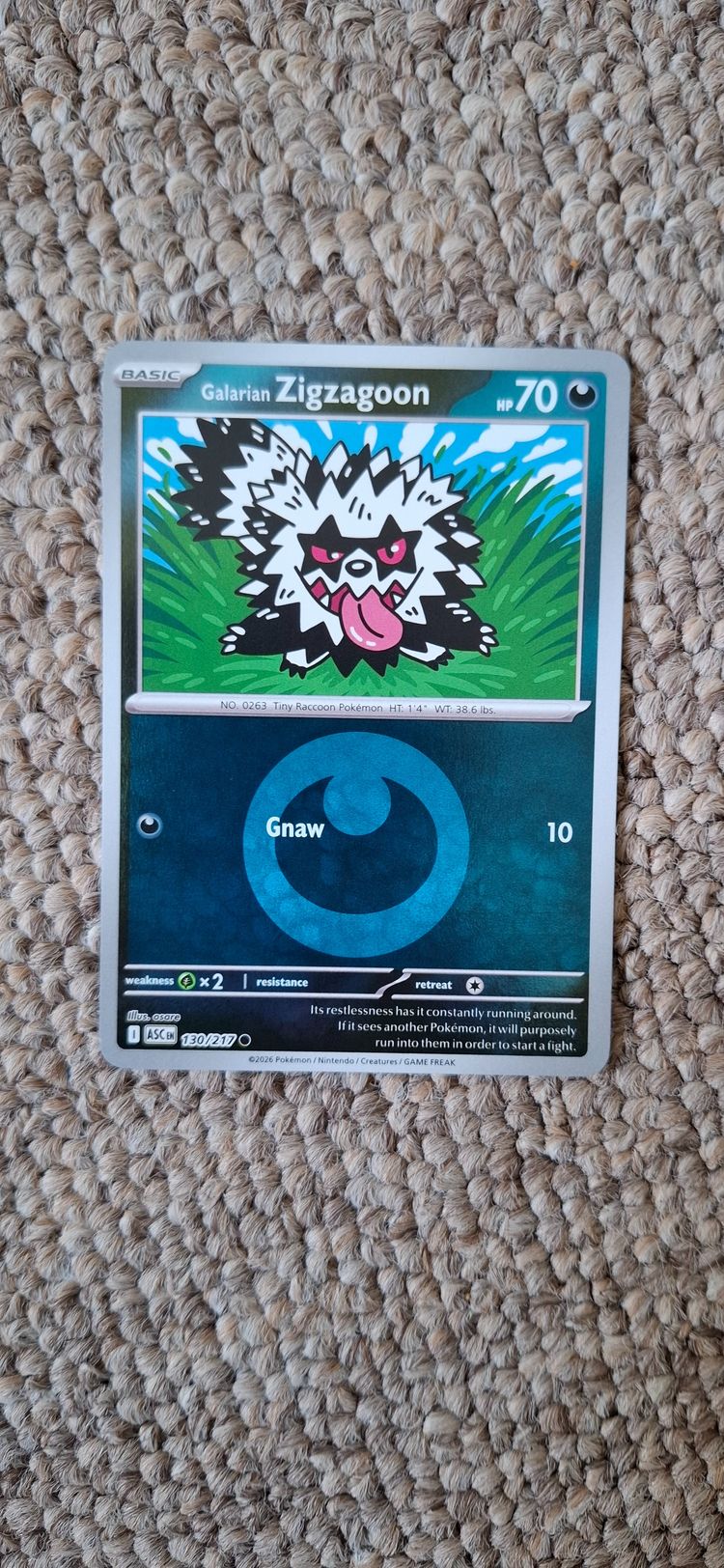 Galarian Zigzagoon Pokémon Card