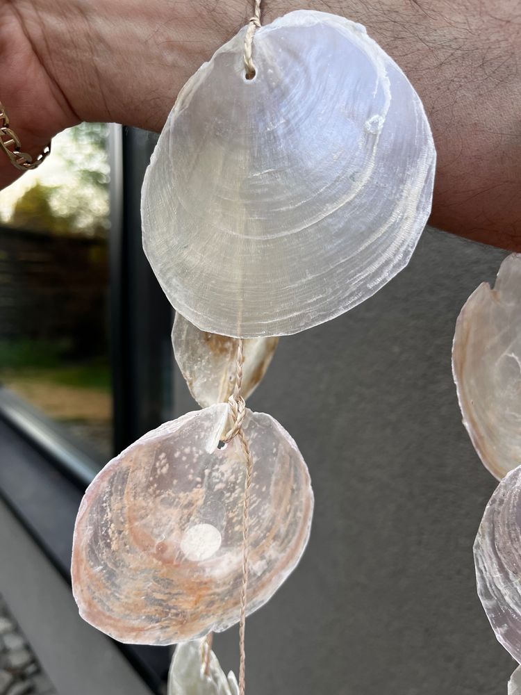 Other Decorative Hanging Shells product image