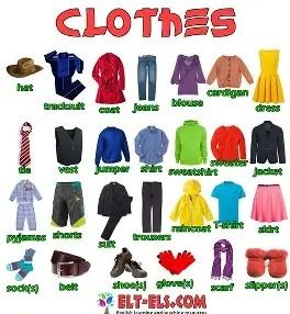 Other Clothes Collection product image