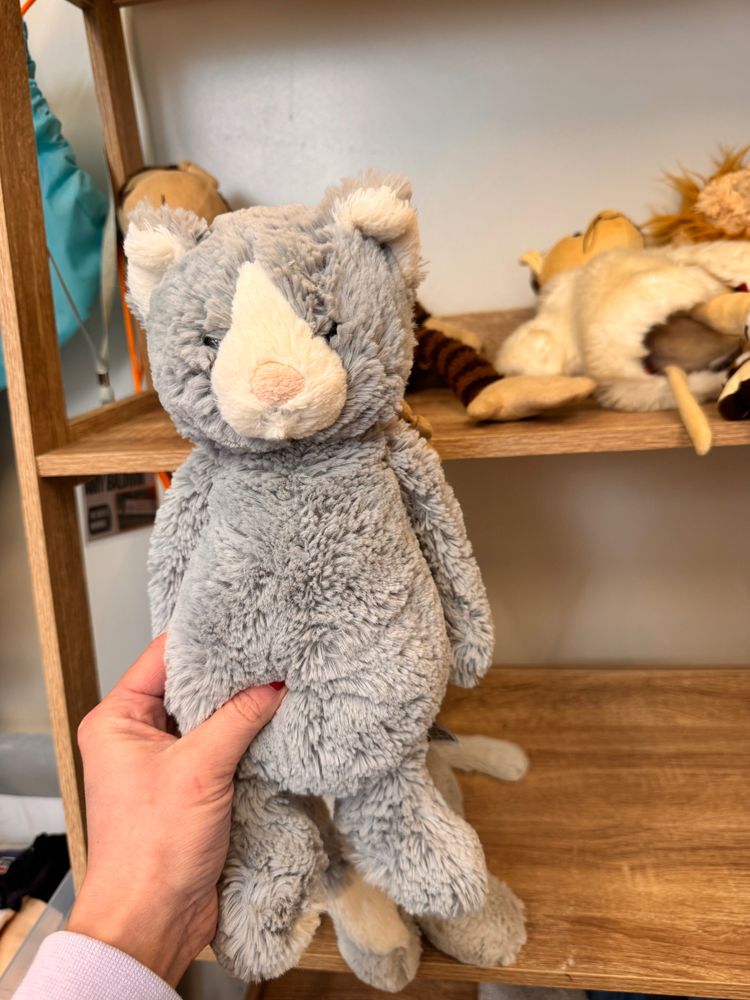 Grey Plush Teddy Bear