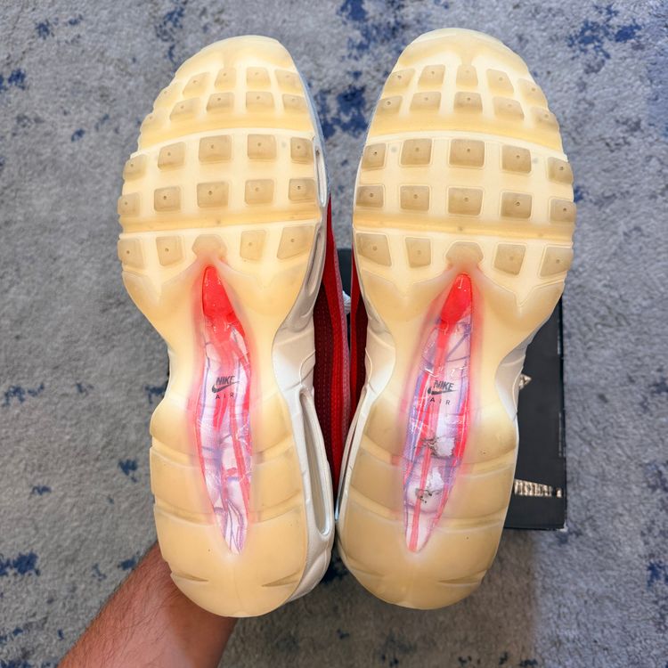 Immagine di Nike Air Max 95 Anatomy Of Air 45,5 5