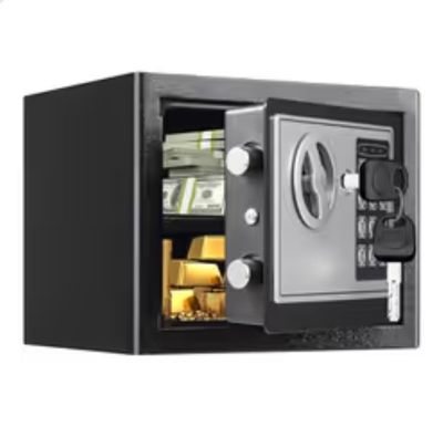 Electronic Safe Box with Keypad & Keys, Mini Safe for Kids, Black, 0.23 Cubic Feet