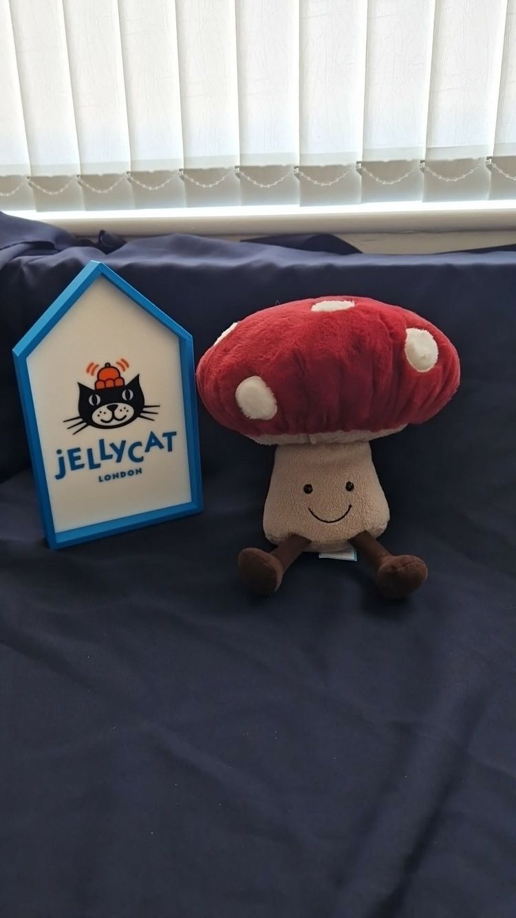 Jellycat Jellycat Amuseables mushroom BNWT - retired product image