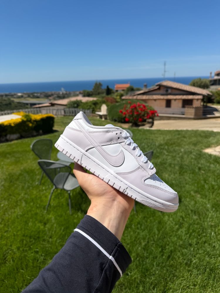 Dunk low venice 41