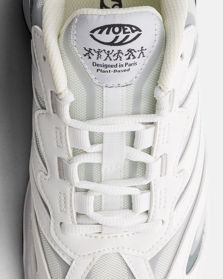 Immagine di Dragonfly - Full White - Corn 6