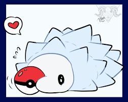 5 Pack Pokemon Bundle