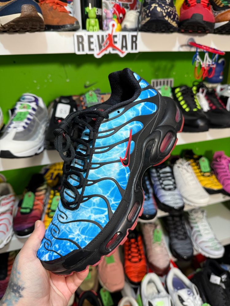 Nike Sneakers shark new boxed