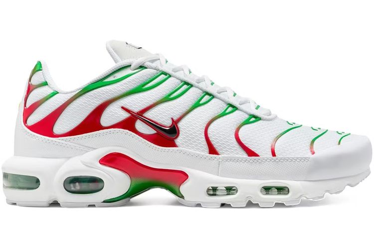 Nike air max TN Trainers