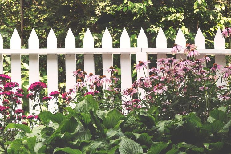 Other Wooden Fence product image