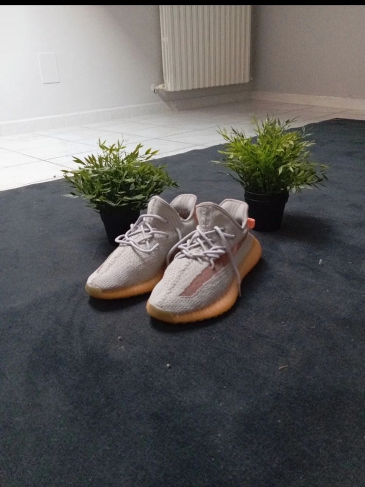 Adidas Originals adidas sneakers product image