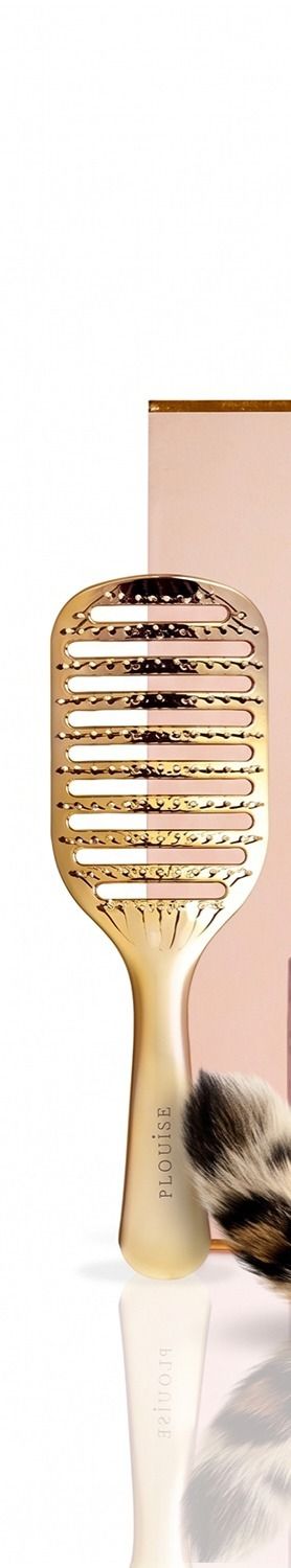 Plouisr Gold Hairbrush