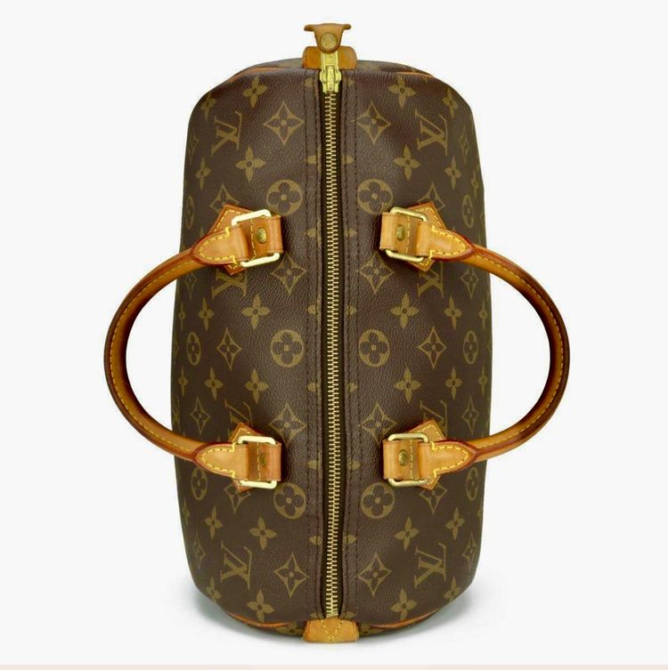 Louis Vuitton Louis Vuitton Handbag product image