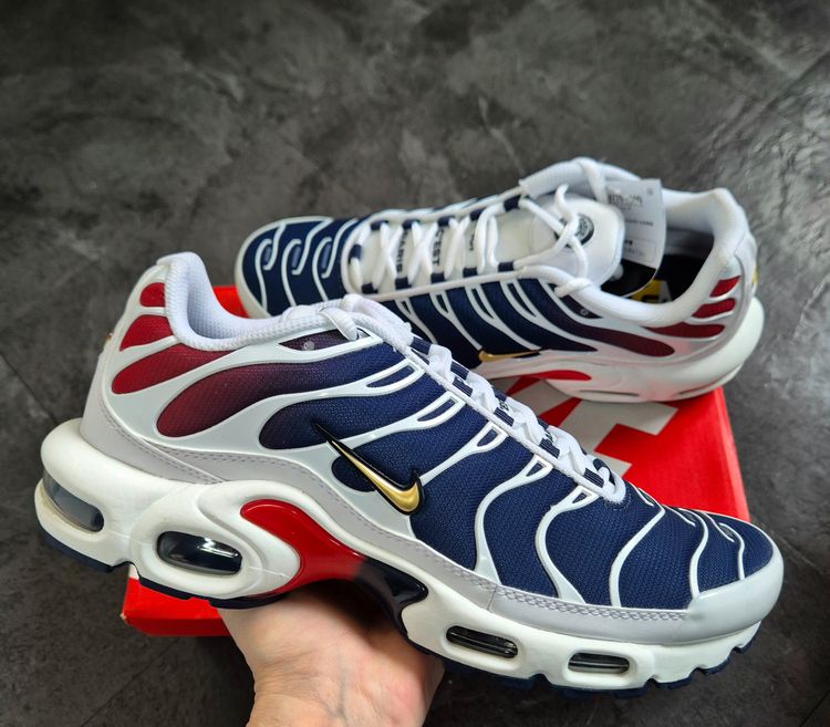 Nike Airmax Plus Tn PSG