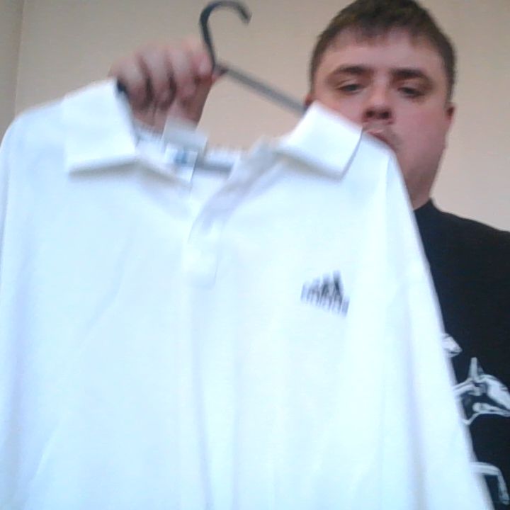 Adidas Adidas Polo Shirt - L - Lightly Used product image