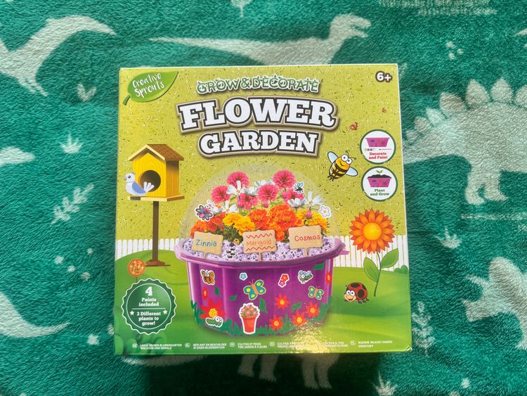 Creative Sprouts Grow & Decorate Flower Garden