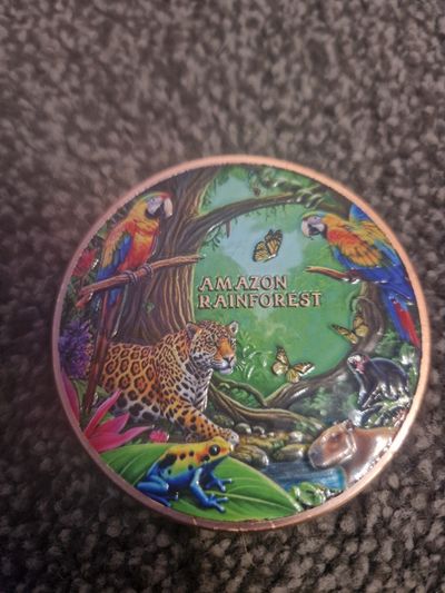 5oz 999 colourised copper Amazon Rainforest Decorative