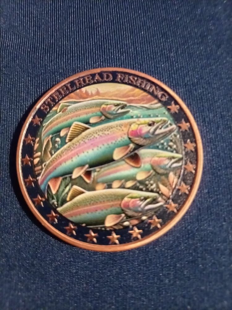 Decorative Steel head Fishing-Themed Coins