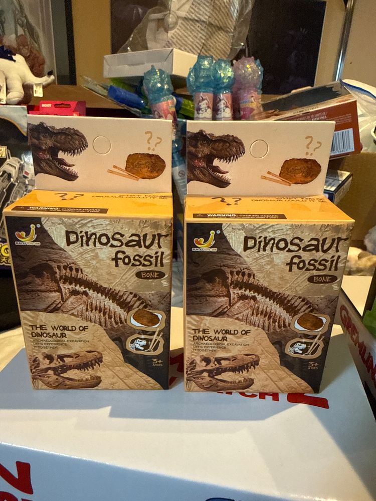 Dinosaur Fossil Bone Excavation Kit
