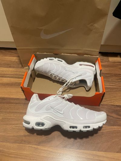 Nike Air Max Plus Sneakers