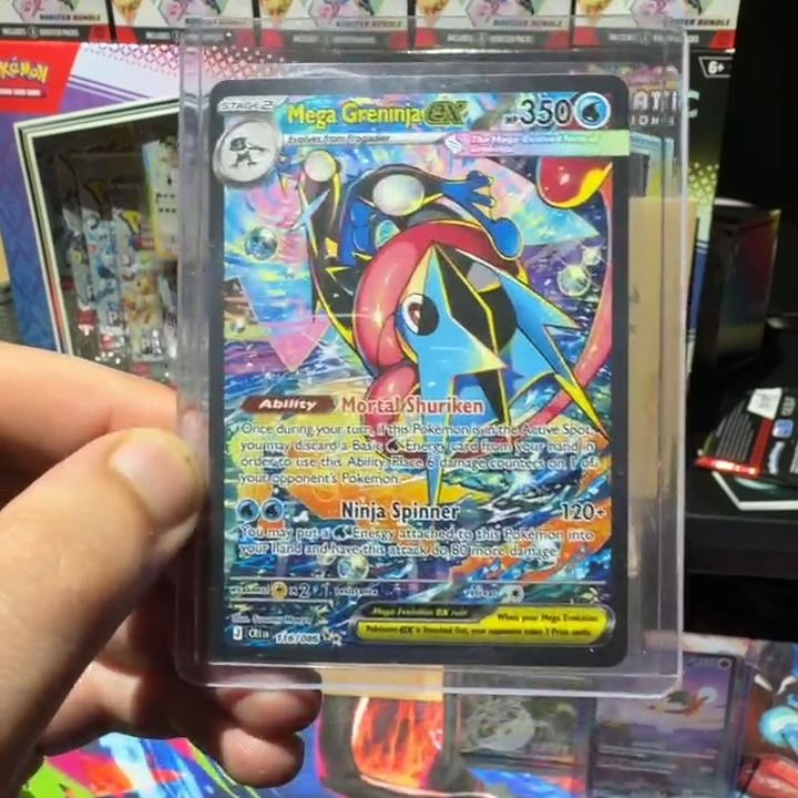 SIR. SIR GRENINJA product image